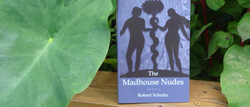 The Madhouse Nudes paperback edition.